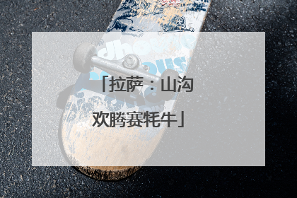 拉萨：山沟欢腾赛牦牛