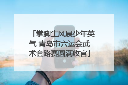 拳脚生风展少年英气 青岛市六运会武术套路赛圆满收官