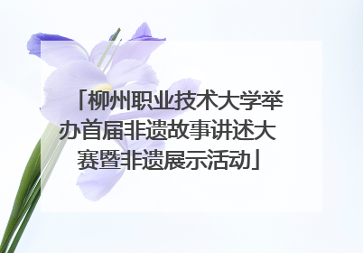 柳州职业技术大学举办首届非遗故事讲述大赛暨非遗展示活动