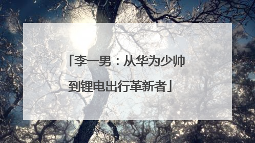 李一男：从华为少帅到锂电出行革新者