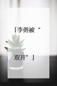 李勇被“双开”