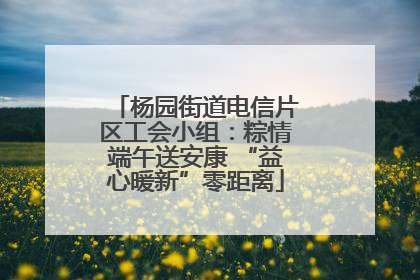 杨园街道电信片区工会小组：粽情端午送安康 “益心暖新”零距离