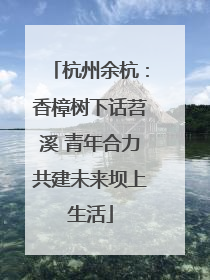 杭州余杭：香樟树下话苕溪 青年合力共建未来坝上生活