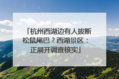 杭州西湖边有人拔断松鼠尾巴？西湖景区：正展开调查核实
