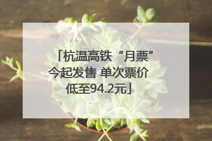 杭温高铁“月票”今起发售 单次票价低至94.2元