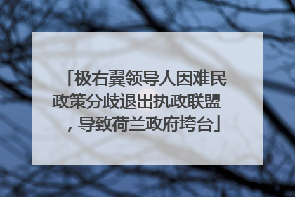 极右翼领导人因难民政策分歧退出执政联盟，导致荷兰政府垮台