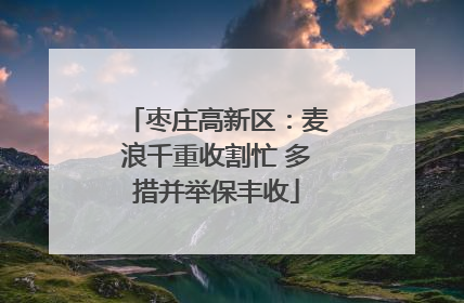 枣庄高新区：麦浪千重收割忙 多措并举保丰收