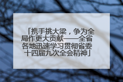 携手挑大梁，争为全局作更大贡献——全省各地迅速学习贯彻省委十四届九次全会精神