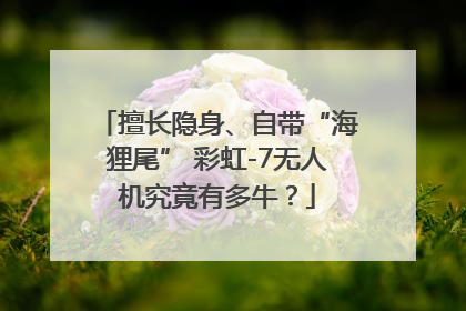 擅长隐身、自带“海狸尾” 彩虹-7无人机究竟有多牛？