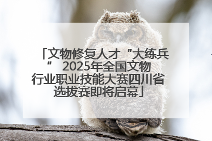 文物修复人才“大练兵” 2025年全国文物行业职业技能大赛四川省选拔赛即将启幕