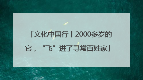 文化中国行丨2000多岁的它，“飞”进了寻常百姓家