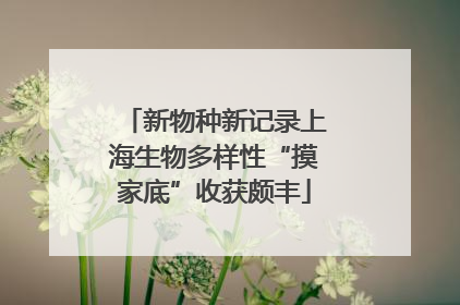 新物种新记录上海生物多样性“摸家底”收获颇丰
