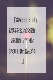 新田：山银花绽放致富路 产业兴旺促振兴