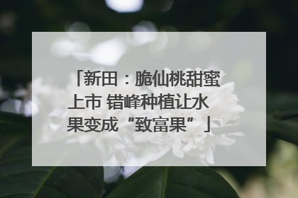 新田：脆仙桃甜蜜上市 错峰种植让水果变成“致富果”