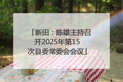 新田：陈雄主持召开2025年第15次县委常委会会议