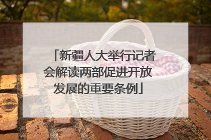 新疆人大举行记者会解读两部促进开放发展的重要条例