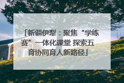 新疆伊犁：聚焦“学练赛”一体化课堂 探索五育协同育人新路径