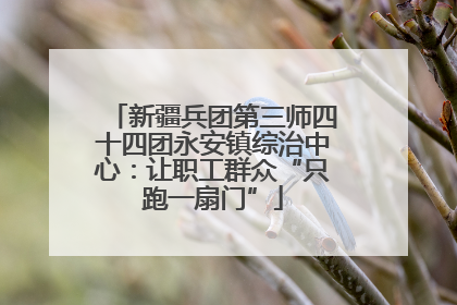 新疆兵团第三师四十四团永安镇综治中心：让职工群众“只跑一扇门”