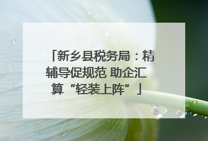 新乡县税务局：精辅导促规范 助企汇算“轻装上阵”