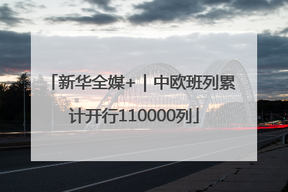 新华全媒+｜中欧班列累计开行110000列