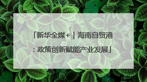 新华全媒+｜海南自贸港：政策创新赋能产业发展