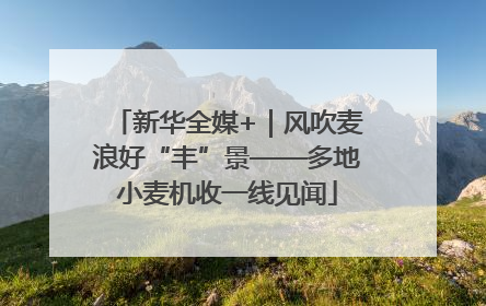 新华全媒+｜风吹麦浪好“丰”景——多地小麦机收一线见闻