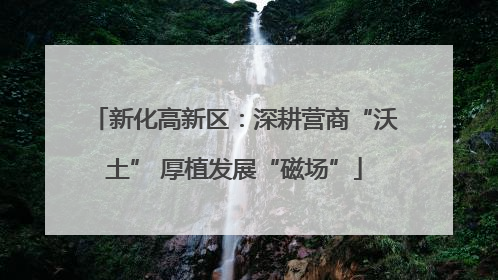新化高新区：深耕营商“沃土” 厚植发展“磁场”