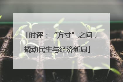 时评：“方寸”之间，撬动民生与经济新局