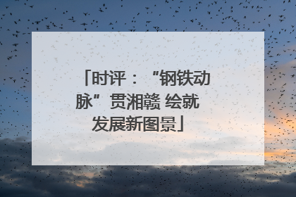 时评：“钢铁动脉”贯湘赣 绘就发展新图景