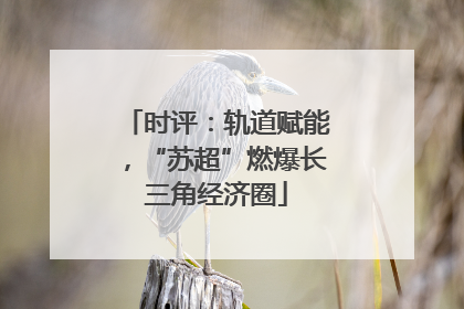 时评：轨道赋能，“苏超”燃爆长三角经济圈