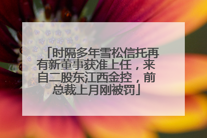 时隔多年雪松信托再有新董事获准上任，来自二股东江西金控，前总裁上月刚被罚