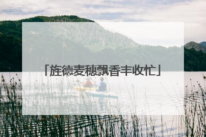 旌德麦穗飘香丰收忙