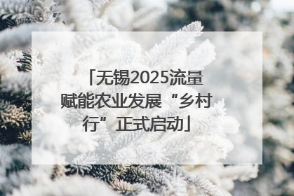 无锡2025流量赋能农业发展“乡村行”正式启动