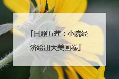 日照五莲：小院经济绘出大美画卷
