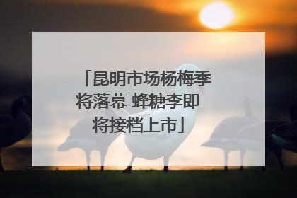 昆明市场杨梅季将落幕 蜂糖李即将接档上市