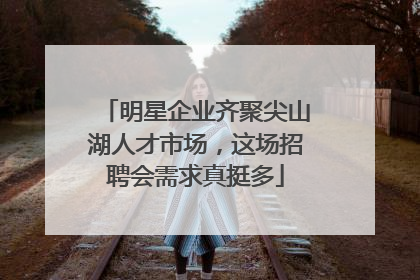 明星企业齐聚尖山湖人才市场，这场招聘会需求真挺多