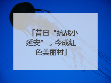 昔日“抗战小延安”，今成红色美丽村