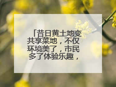 昔日黄土地变共享菜地，不仅环境美了，市民多了体验乐趣，村民还能增收