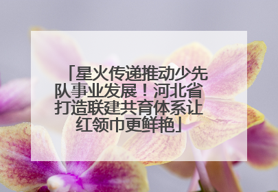 星火传递推动少先队事业发展！河北省打造联建共育体系让红领巾更鲜艳