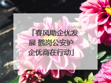 春风助企优发展 鹤岗公安护企优商在行动