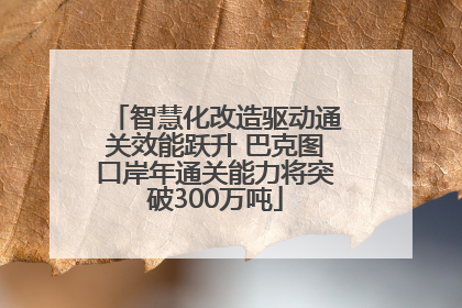 智慧化改造驱动通关效能跃升 巴克图口岸年通关能力将突破300万吨