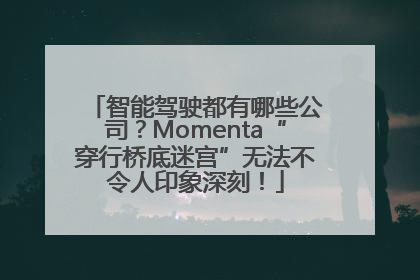 智能驾驶都有哪些公司？Momenta“穿行桥底迷宫”无法不令人印象深刻！