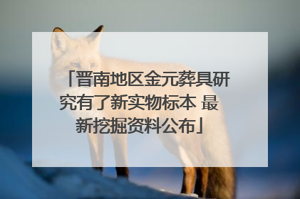 晋南地区金元葬具研究有了新实物标本 最新挖掘资料公布
