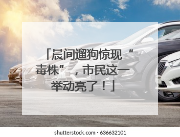 晨间遛狗惊现“毒株”，市民这一举动亮了！