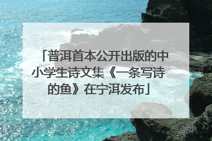 普洱首本公开出版的中小学生诗文集《一条写诗的鱼》在宁洱发布