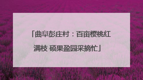 曲阜彭庄村：百亩樱桃红满枝 硕果盈园采摘忙