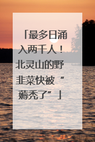 最多日涌入两千人！北灵山的野韭菜快被“薅秃了”