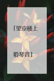 望京楼上聆琴音