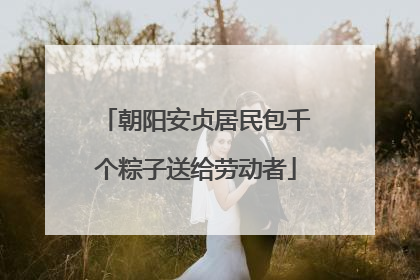 朝阳安贞居民包千个粽子送给劳动者