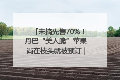 未摘先售70%！丹巴“美人脆”苹果尚在枝头就被预订｜长征路上看四川
